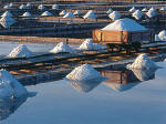 The salt pans of Seovlje