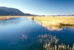 The lake of Cerknica